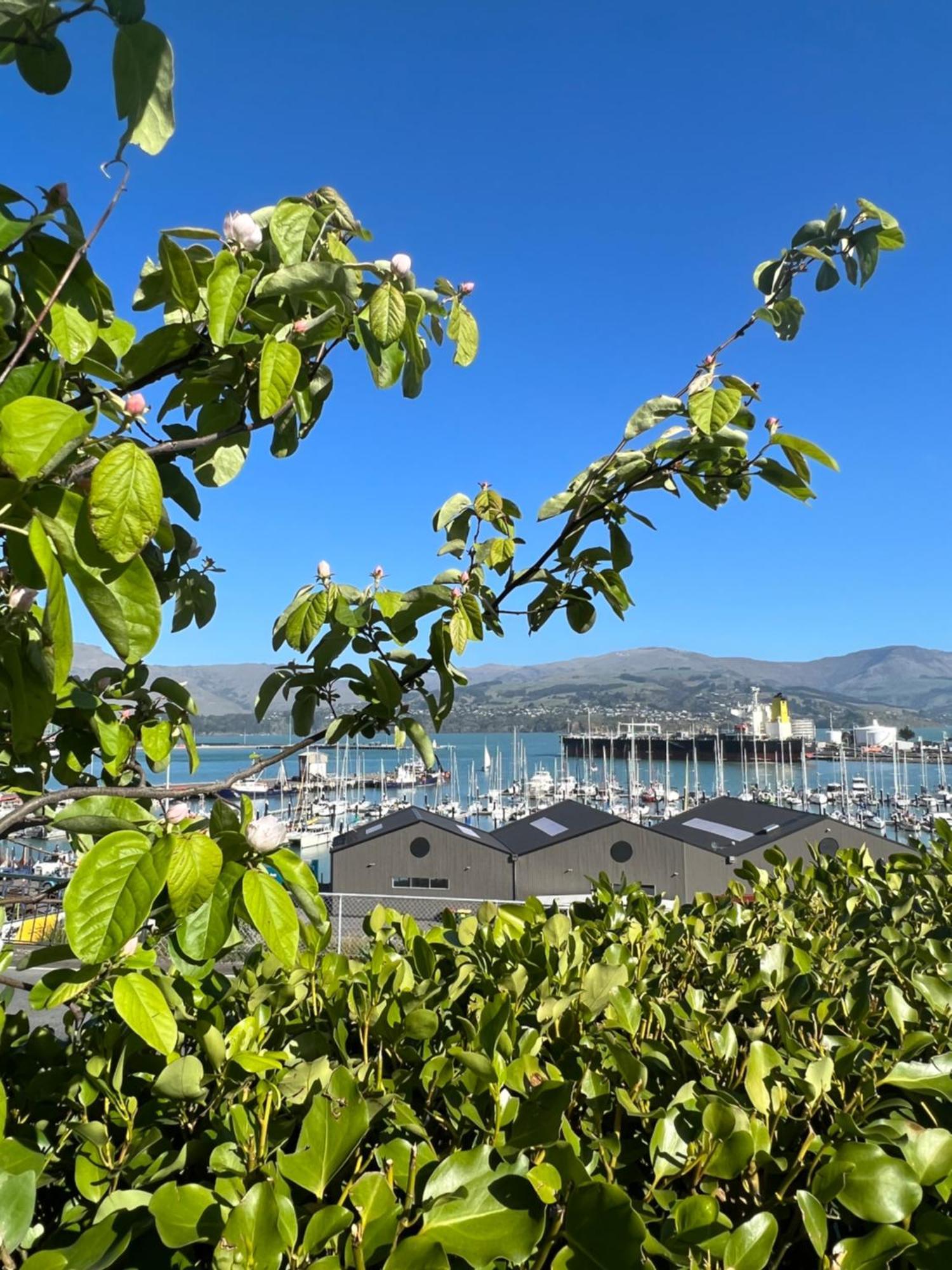 Sea Views In Luxury At Lyttelton Boatique House - 14 Km From Christchurch Exterior foto